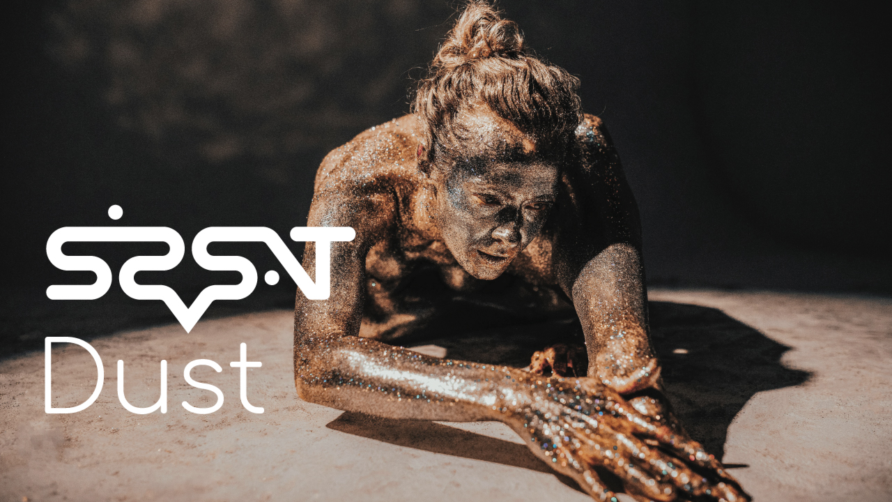 Track-Cover zu sisorsat - Dust