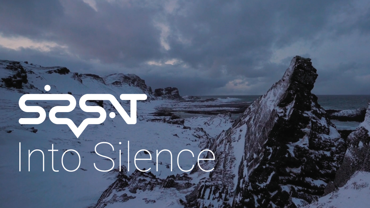 Track-Cover zu sisorsat - Into Silence